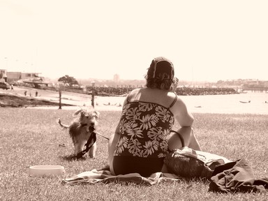  Akl Mission Bay Beach